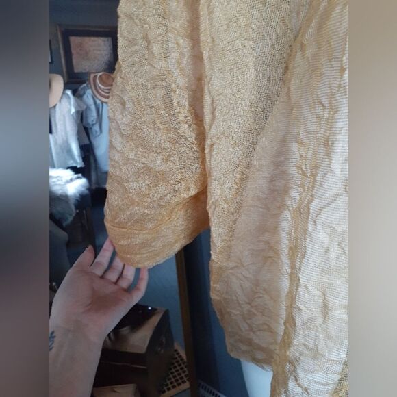 NWT Zara Elegant Gold Sheer Women's Top - Picture 13 of 16